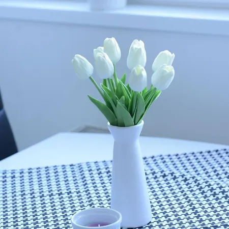 Irina Lux Apartament